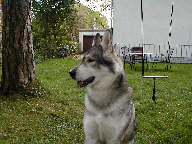 Ein Bild