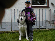 Ein Bild