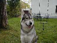 Ein Bild